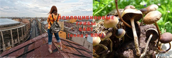 MESCALINE Заводоуковск