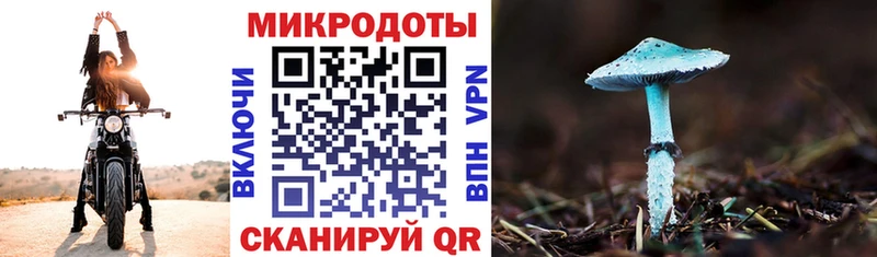 Купить закладки  Кохма  Псилоцибиновые грибы MAGIC MUSHROOMS 